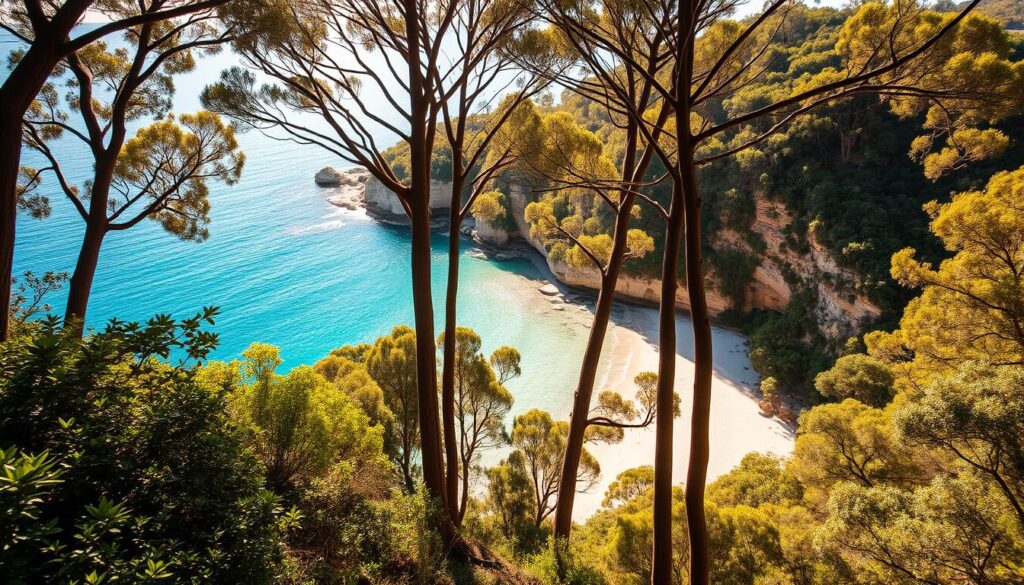 Taylors Bay Sydney Gem