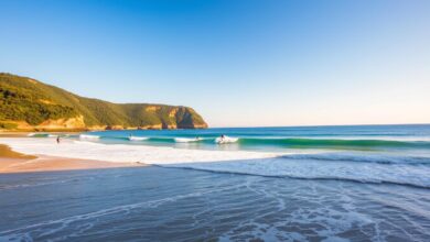 The Beautiful Secret Behind Narrabeen Beach Surf Scene
