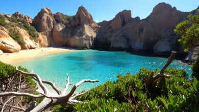 The Secret That Makes Camp Cove a Stunning Sydney Gem
