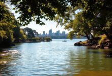 The Secret That Makes Rozelle Bay a Sydney Treasure