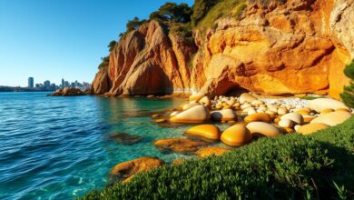 The Secret That Makes Taylors Bay a Stunning Sydney Gem