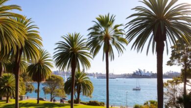 The Ultimate Guide to Sydney’s Rushcutters Bay