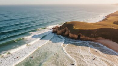 The Ultimate Surf Guide to Curl Curl Beach Adventures