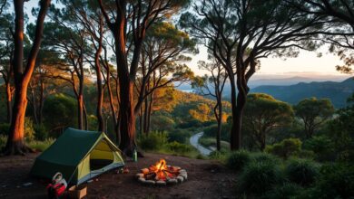 Ultimate Guide to Camping & Adventure at Royal National Park