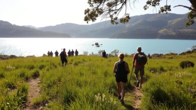 Ultimate Guide to Camping & Hiking at Narrabeen Lagoon