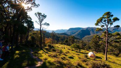 Ultimate Guide to Camping & Trekking at Dharug National Park