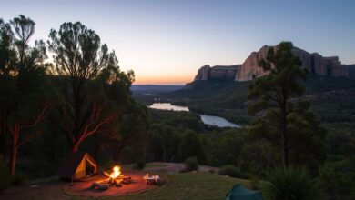 Why You’ll Actually Love Camping at Dharawal Conservation Area
