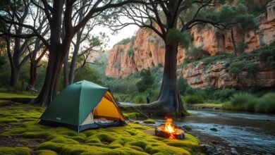 Why You’ll Actually Love Camping at Marramarra Creek