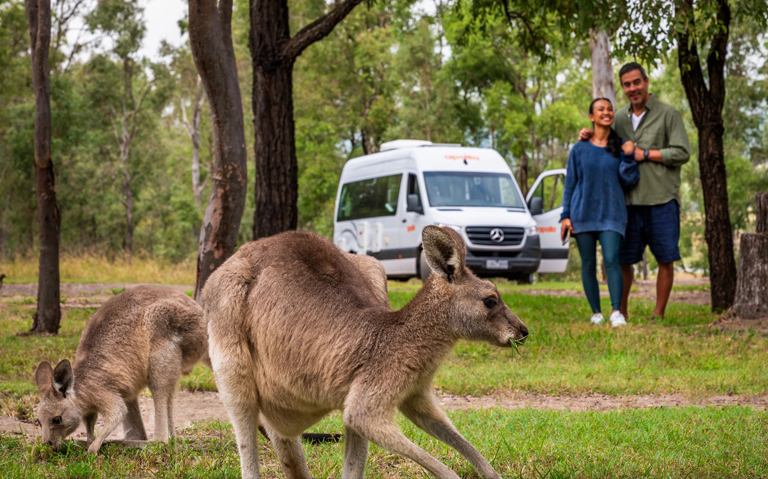 Wildlife--Eco-Travel