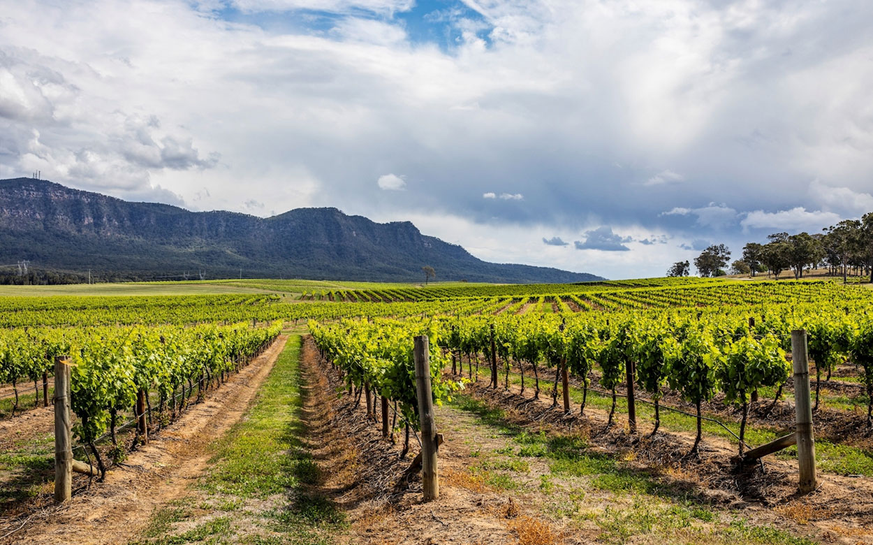 Hunter Valley - Travel Xpress Hunter Valley