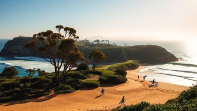 the allure of whale beach: sydney's best-kept surf secret