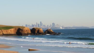 the ultimate guide to sydney's top surf spots for all levels of surfers