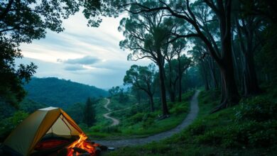 why you’ll actually love camping at brisbane water national park